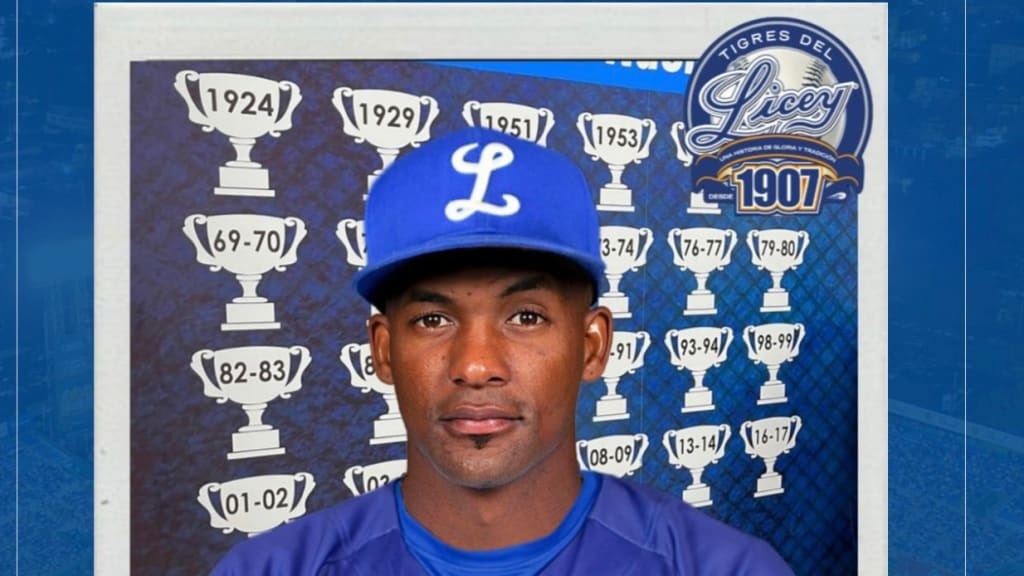 Miguel Andújar tigres del licey