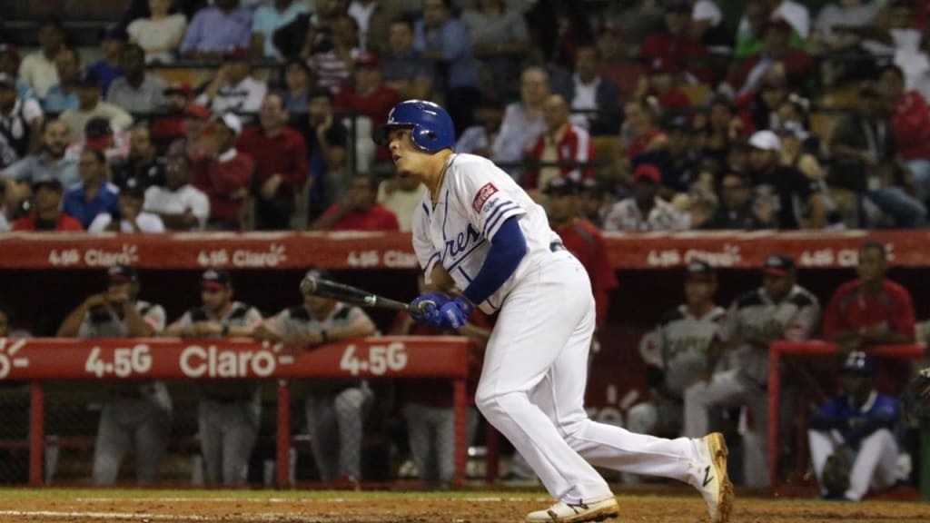 Gio Urshela tigres del licey